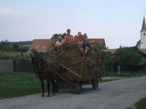 haza ért a széna