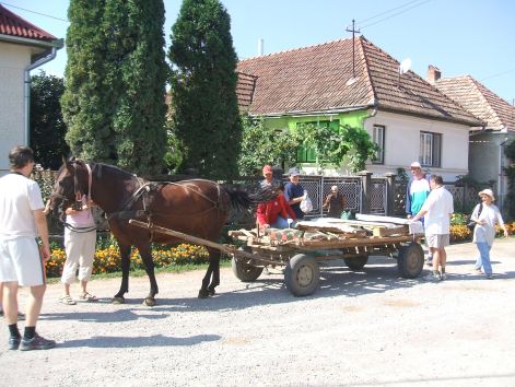 készülődés szekerezni